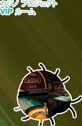 カジノ プロジェクト vip ルーム