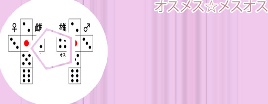 サイコロ オスメス